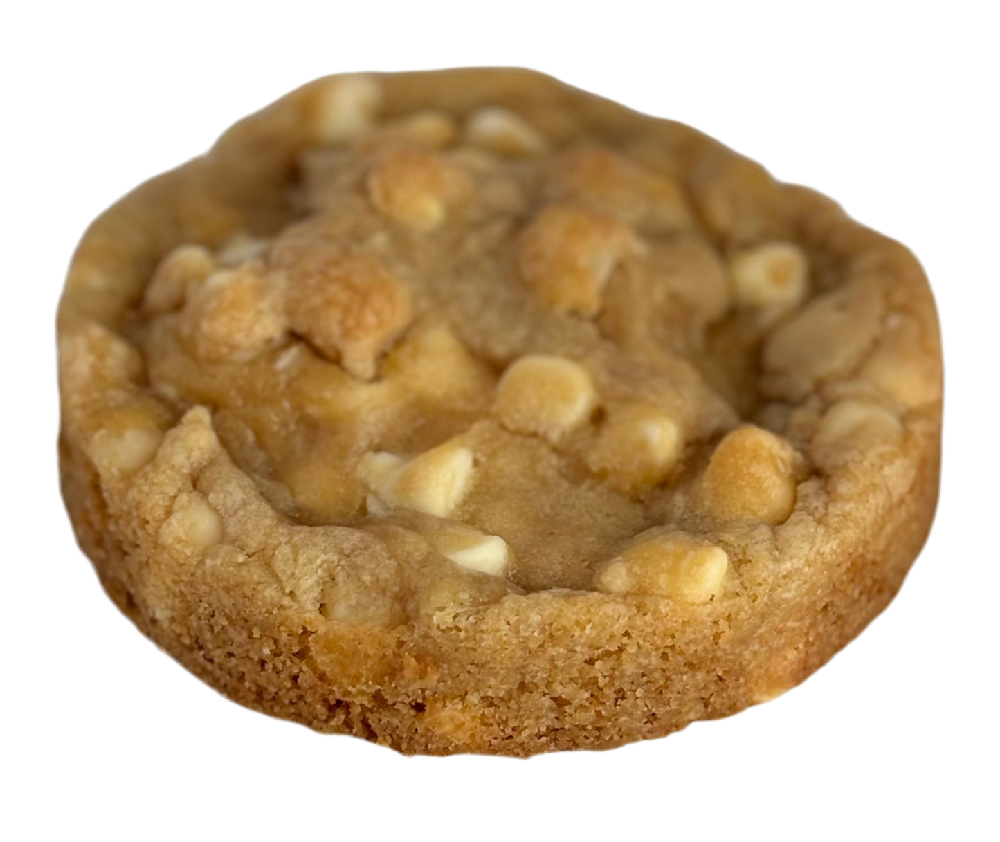 Ultimate White Chocolate Chip Macadamia Nut Cookie